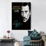 Affiche de concert de Johnny Hallyday, ambiance live