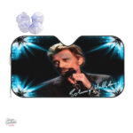 Accessoire Johnny Hallyday - pare-soleil pour auto