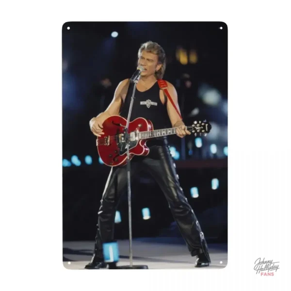 Plaque décorative Johnny Hallyday, choix varié