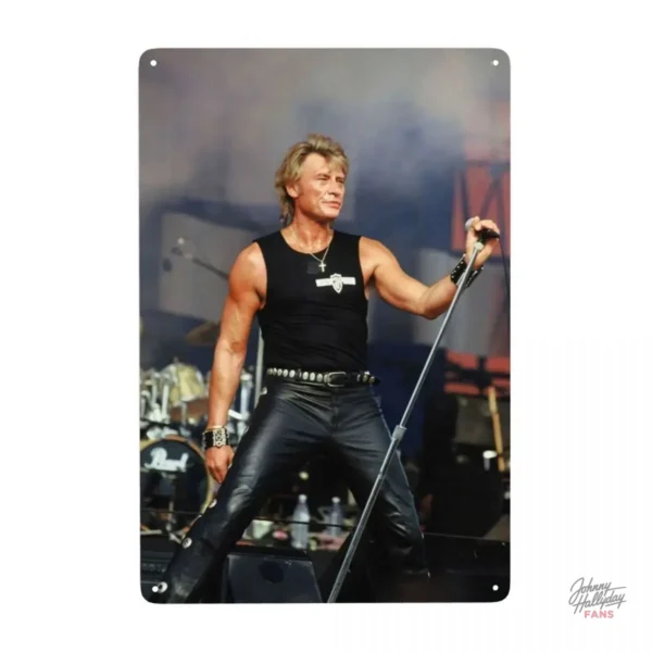 Plaque Johnny Hallyday, 23 créations artistiques